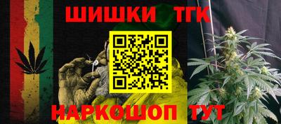 дживик Камышлов