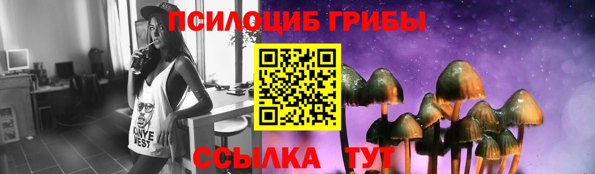 Ленинск-Кузнецкий  сколько стоит  Псилоцибиновые грибы мицелий  Вход с VPN  Галлюциногенные грибы Psilocybine cubensis 